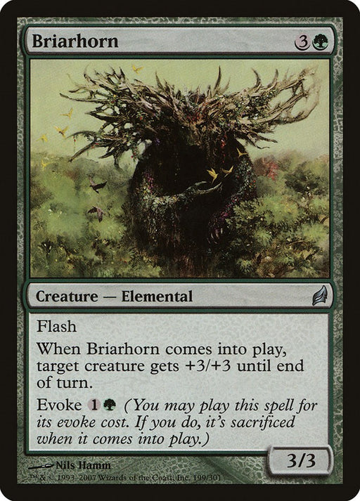 Briarhorn