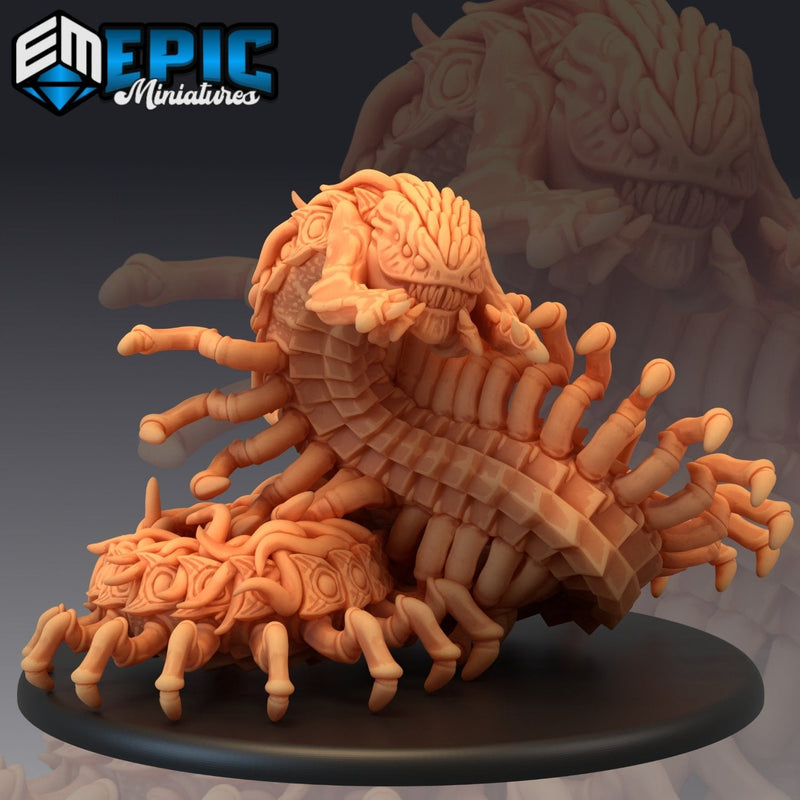 Giant Centipede