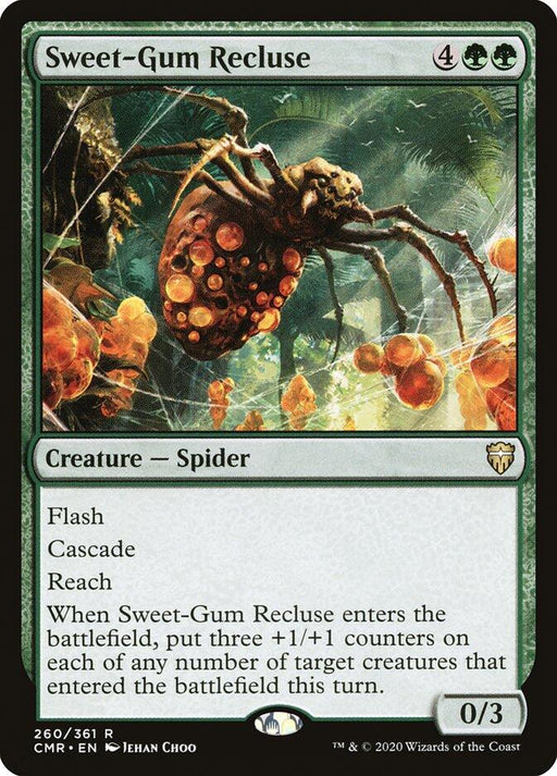 Sweet Gum Recluse