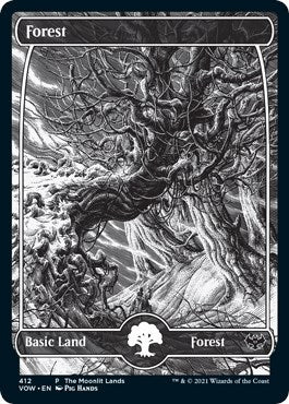 Forest Moonlit Land Foil Etched