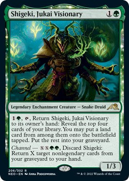 Shigeki Jukai Visionary