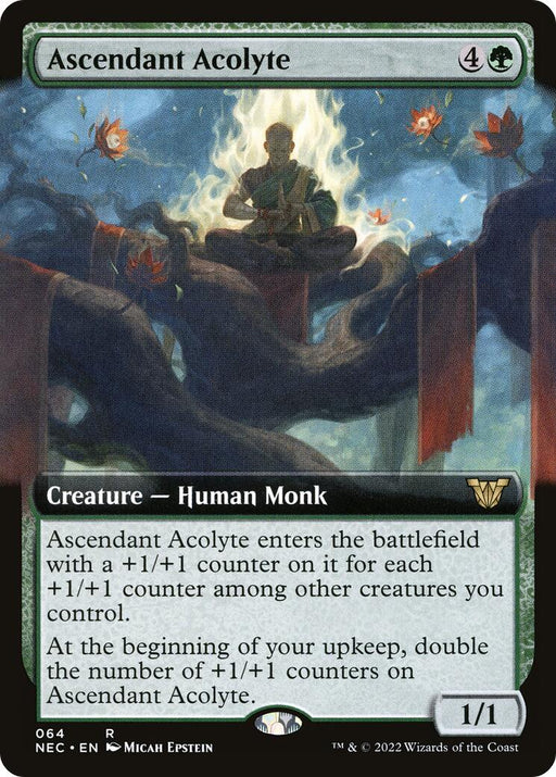 Ascendant Acolyte Extended Art
