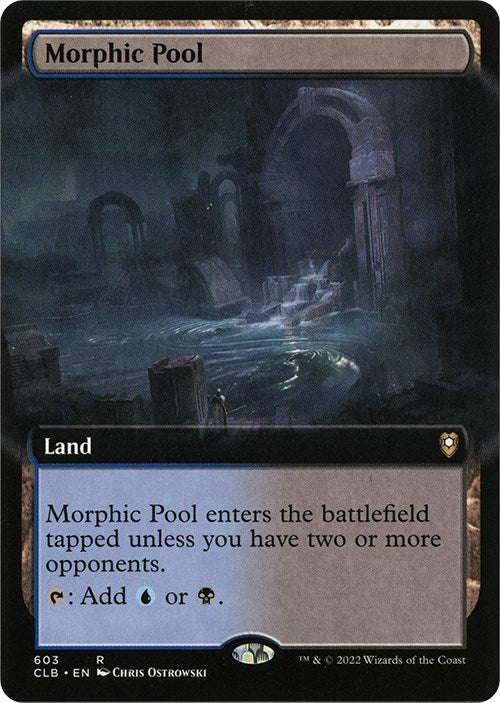Morphic Pool Extended Art