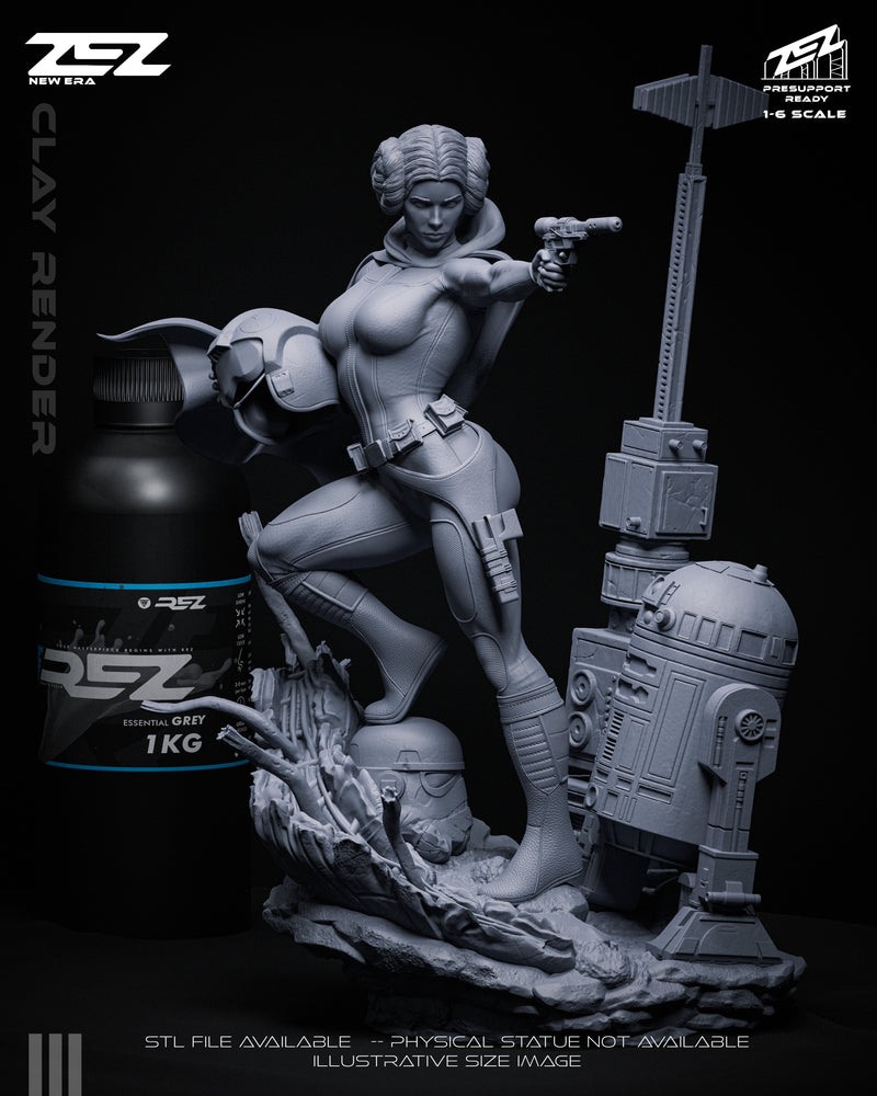 Princess Leia - SW - 1:6 Scale & Bust