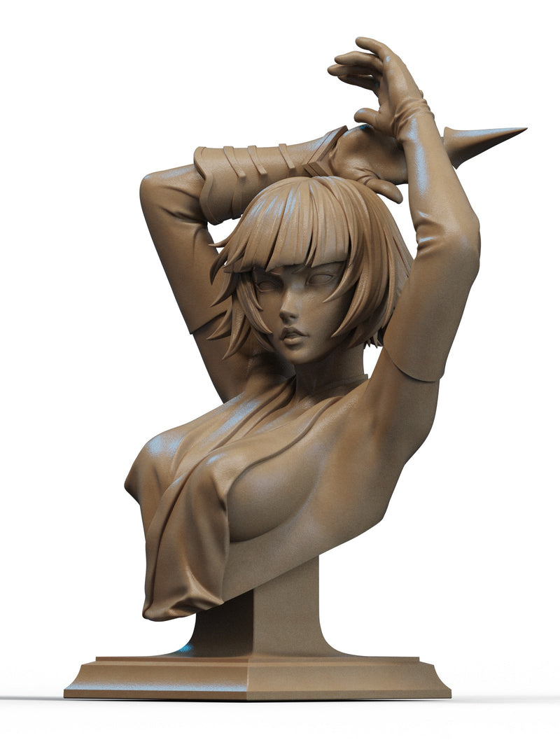 Soifon - Bleach (SFW/NSFW 18+ Only) - 1:6, 1:9 Scale & Bust