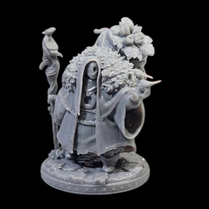 The Bog Druid