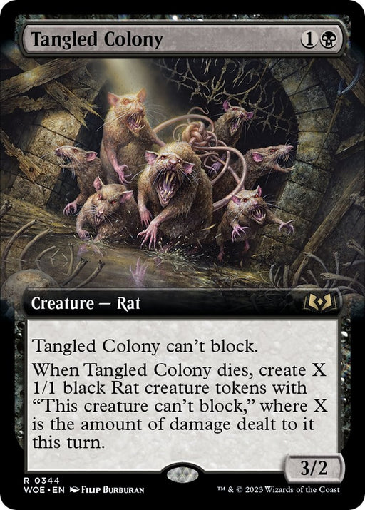 Tangled Colony Extended Art