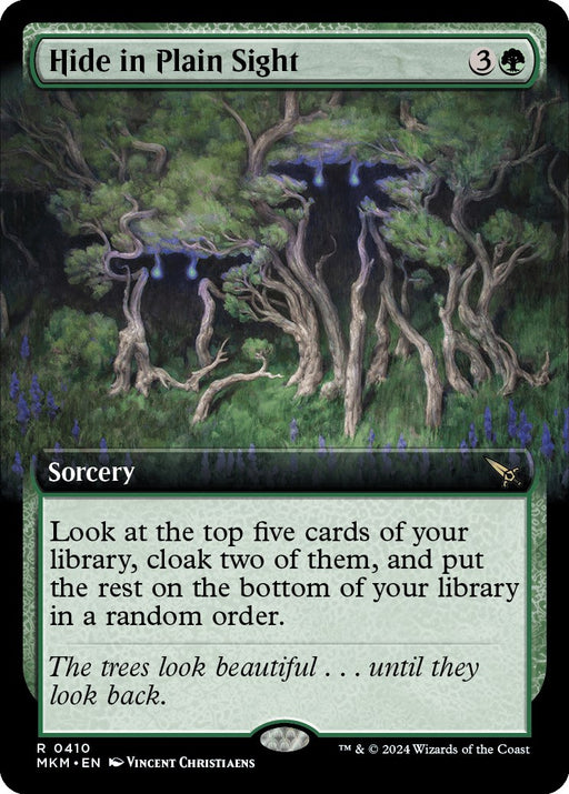 Hide in Plain Sight Extended Art