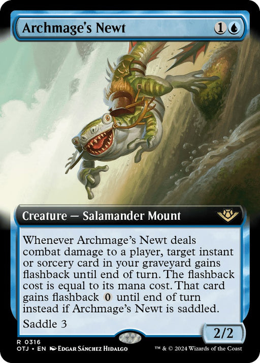 Archmages Newt Extended Art