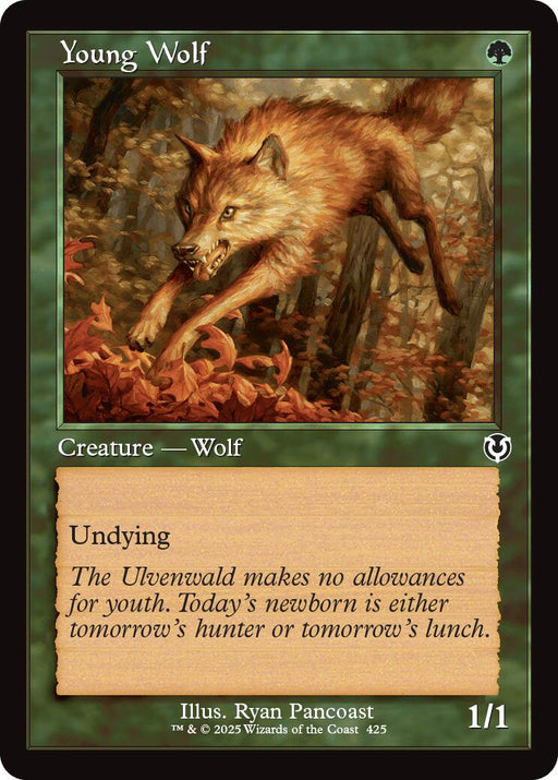 Young Wolf Retro Frame