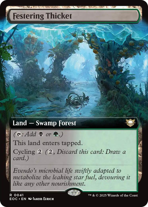 Festering Thicket Extended Art