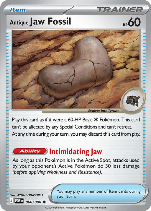 Antique Jaw Fossil
