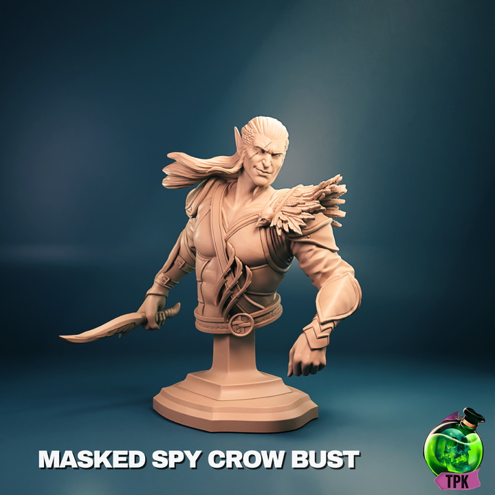 Spy Crow - Male Elf Rogue - Masked & Unmasked - Miniature & Busts