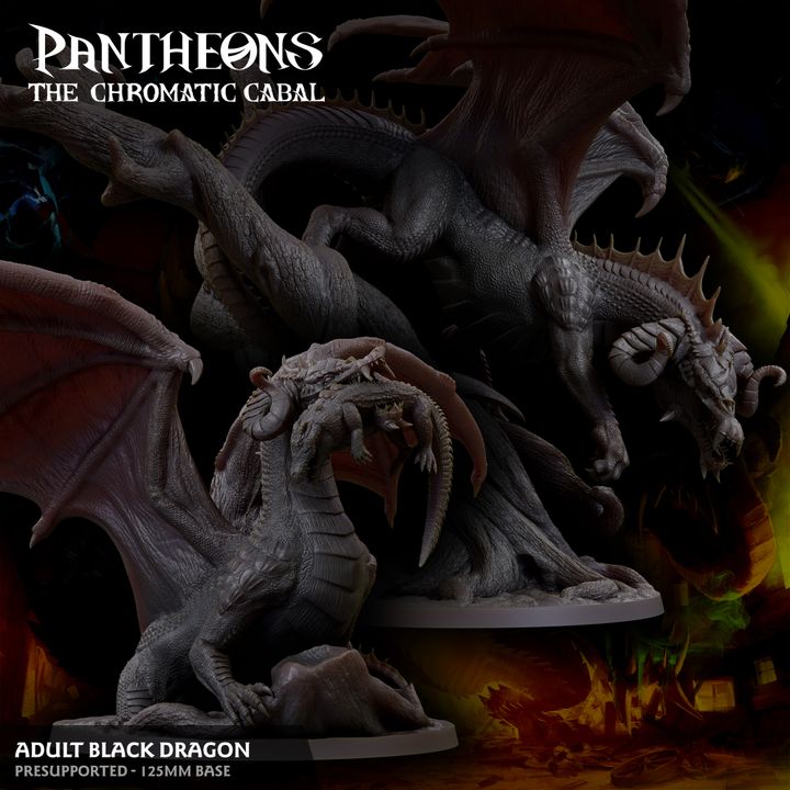 Adult Black Dragon