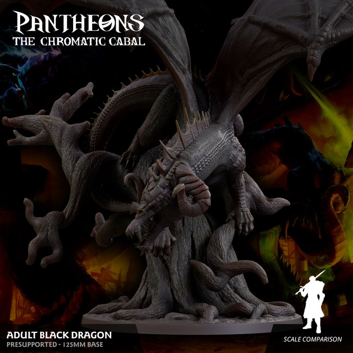 Adult Black Dragon