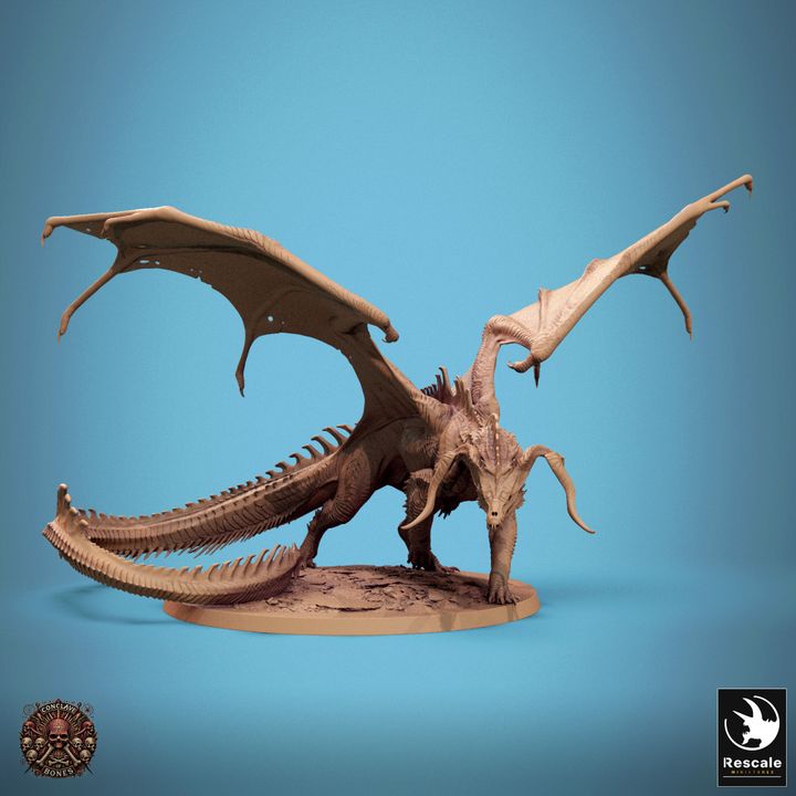 Chromatic Black Dragon