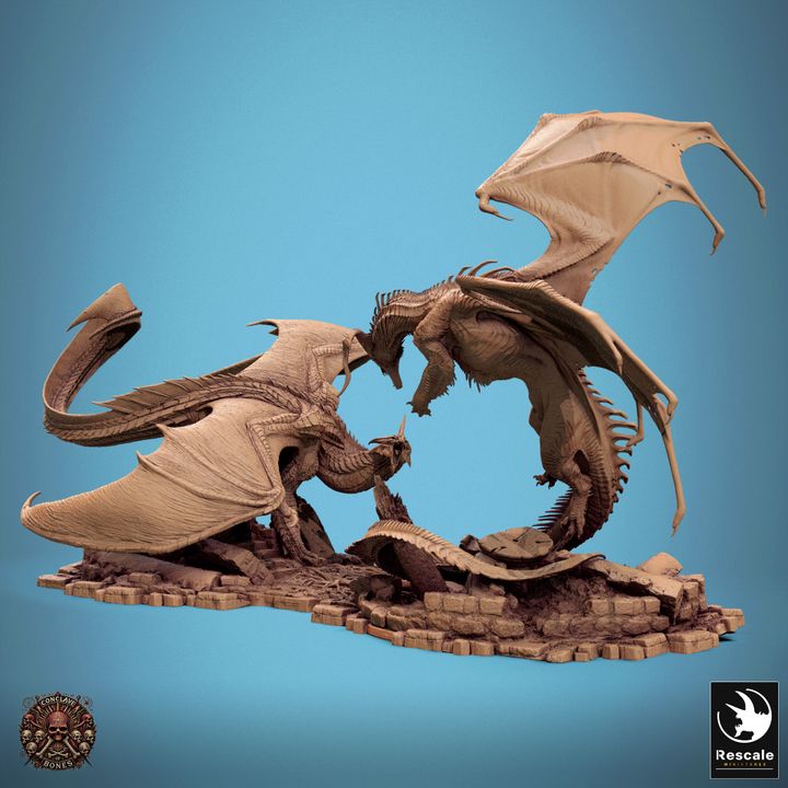 Chromatic Black Dragon VS Metallic Silver Dragon