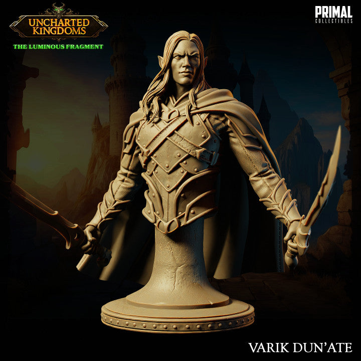 Dark Elf - Varik Dun'ate