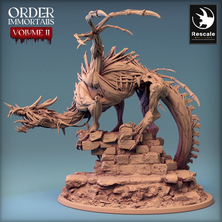 Immortalis Dragon