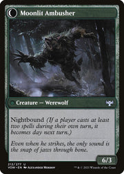 Oakshade Stalker (Back)