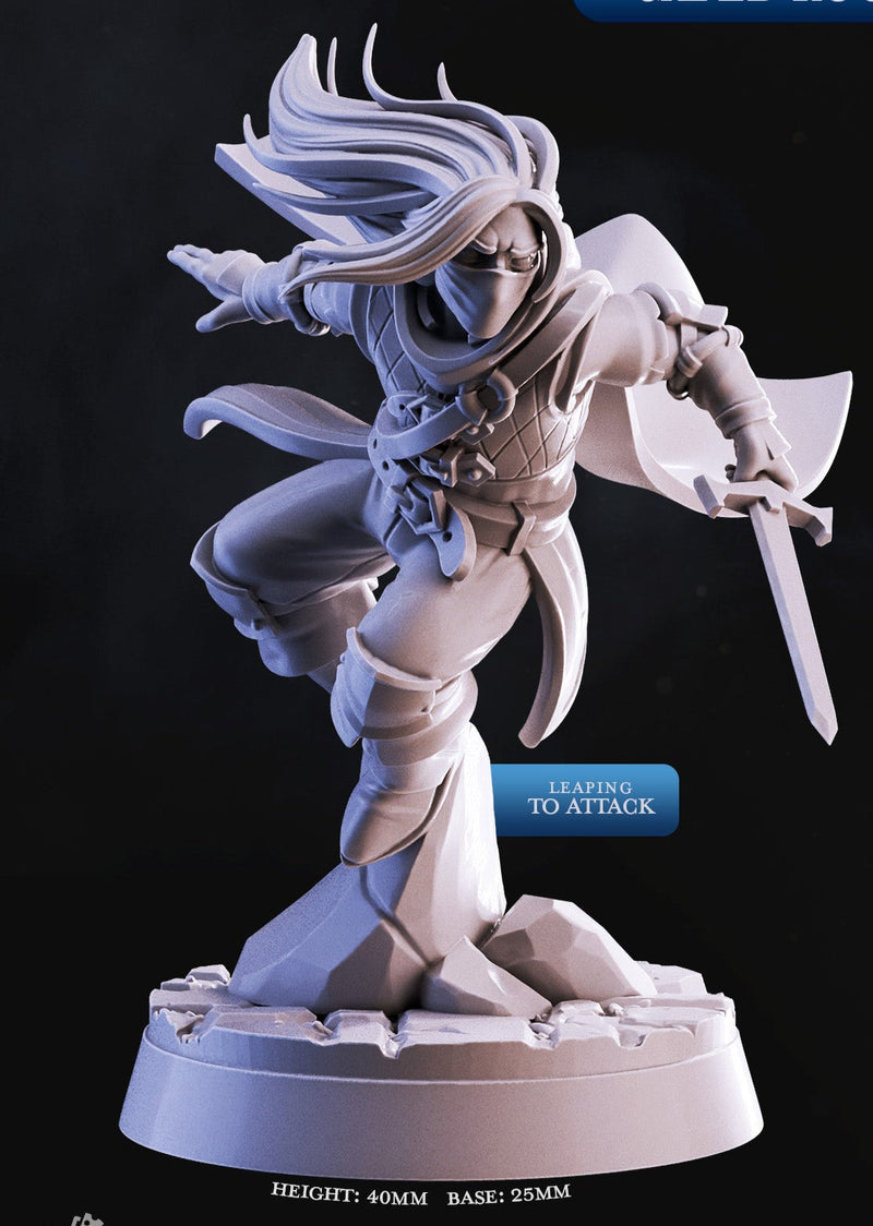 Caped Rogues Miniatures - Nightdagger Rogues