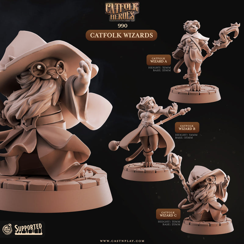 Catfolk Wizard Miniatures
