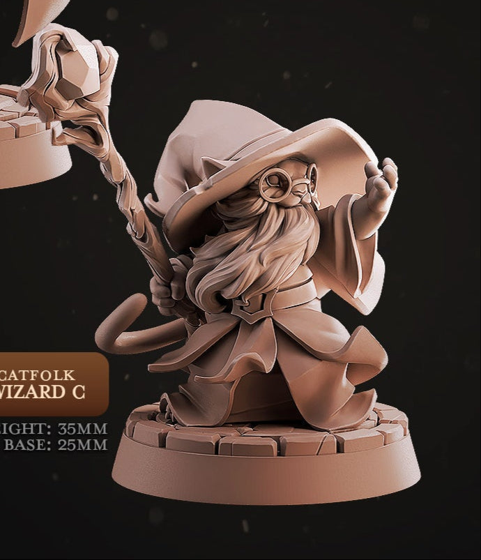 Catfolk Wizard Miniatures
