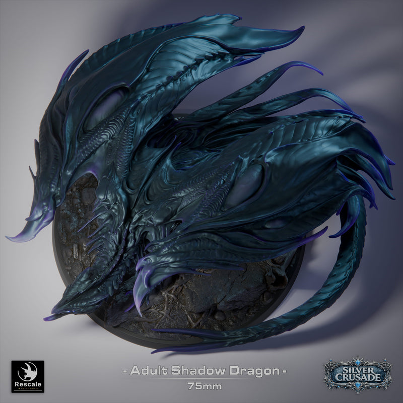 Adult Shadow Dragon – Dungeons & Dragons Monster – Resin Miniature