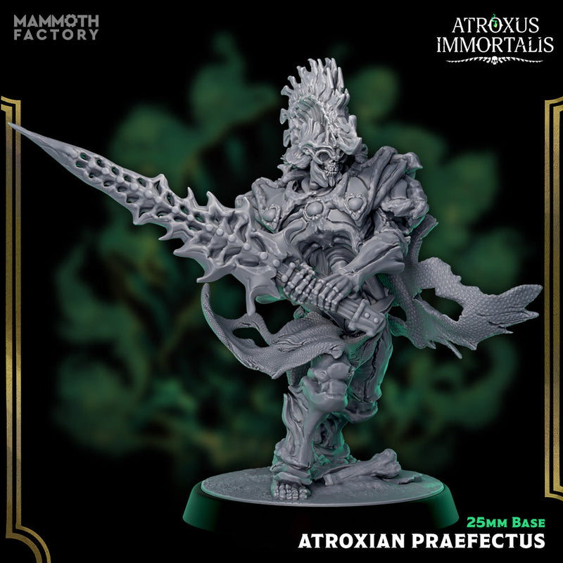 Atroxian Praefectus – Undead Draugr Skeletal Soldier Miniatures