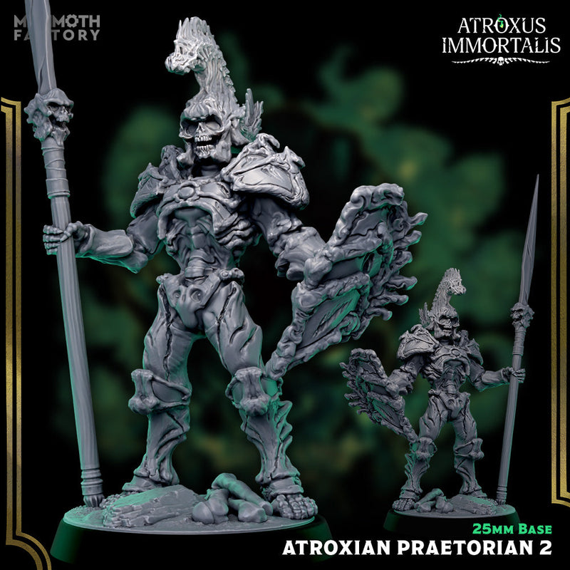 Atroxian Praetorians – Undead Draugr Skeletal Soldier Miniatures