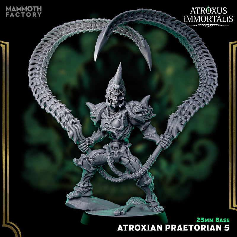 Atroxian Praetorians – Undead Draugr Skeletal Soldier Miniatures