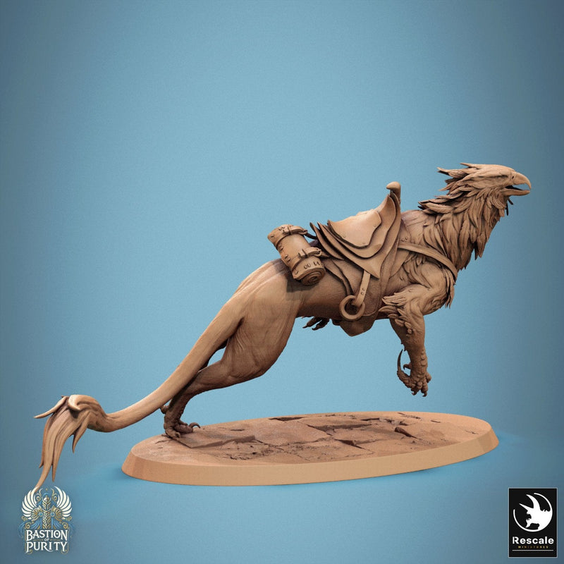 Gryph - Saddle