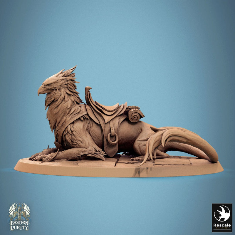 Gryph - Saddle