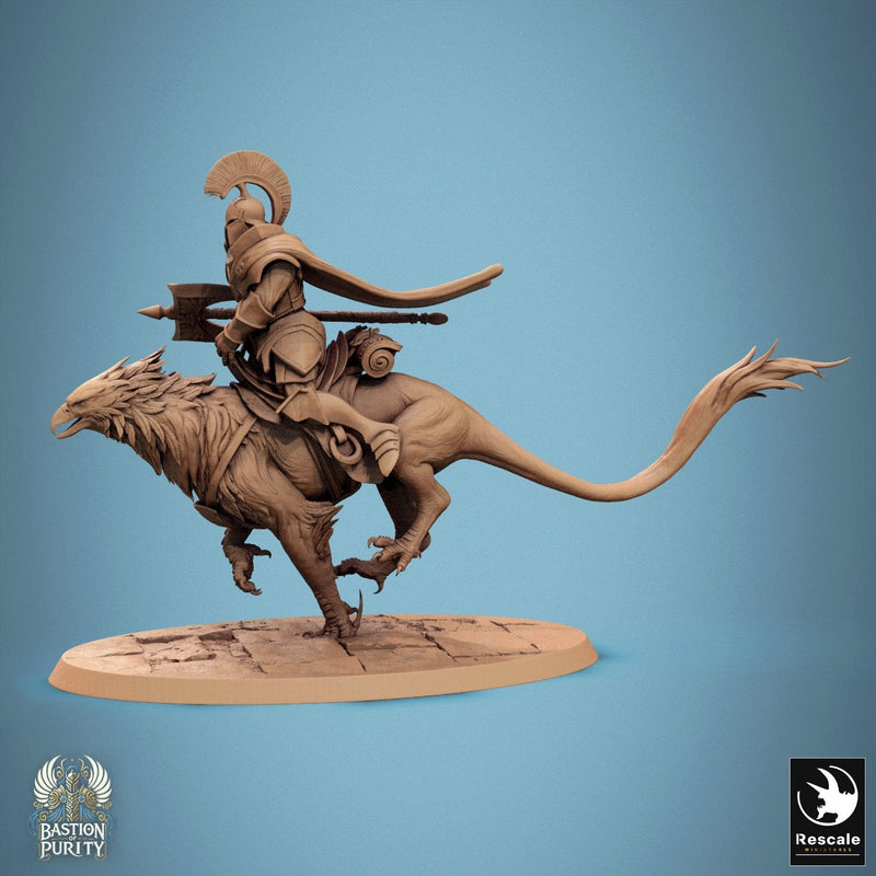 Gryph - Mounted & Cloaked Rider
