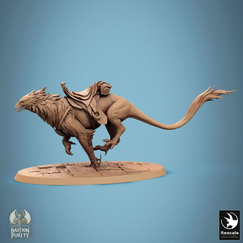Gryph - Saddle