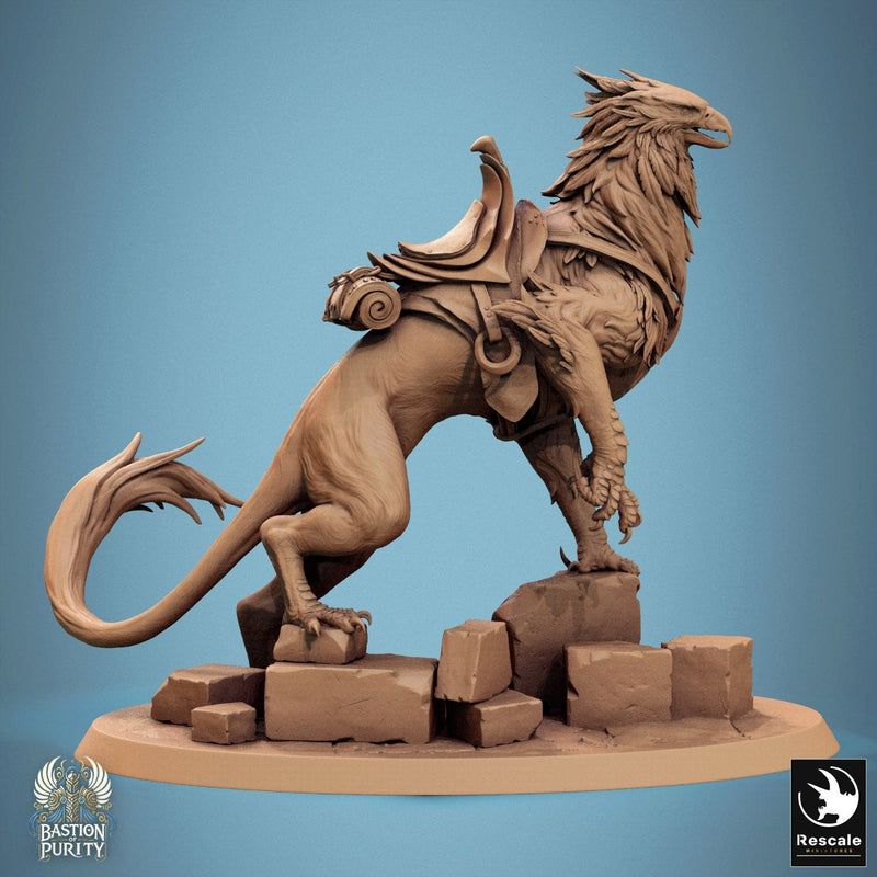 Gryph - Saddle