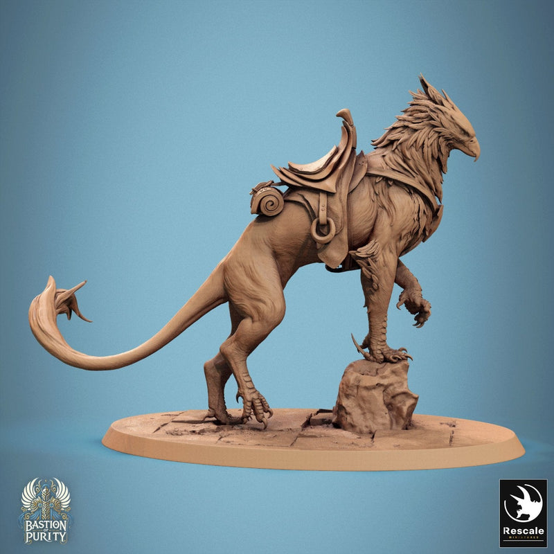 Gryph - Saddle