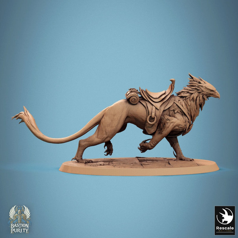 Gryph - Saddle