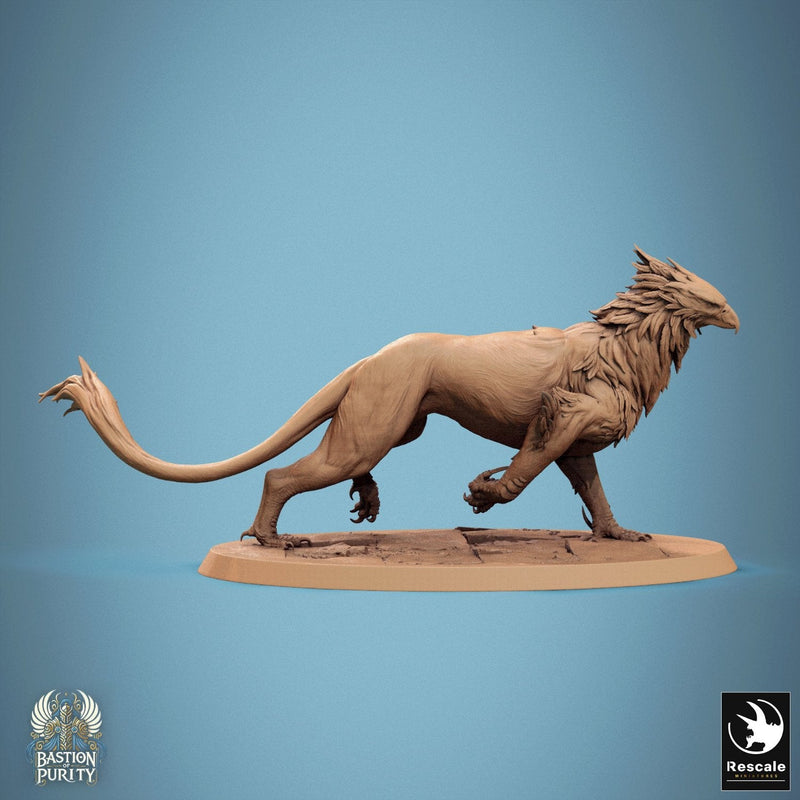 Gryph - Wild