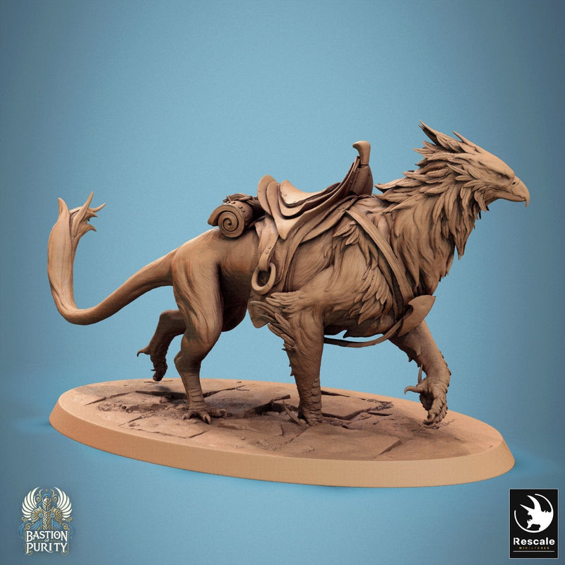 Gryph - Saddle