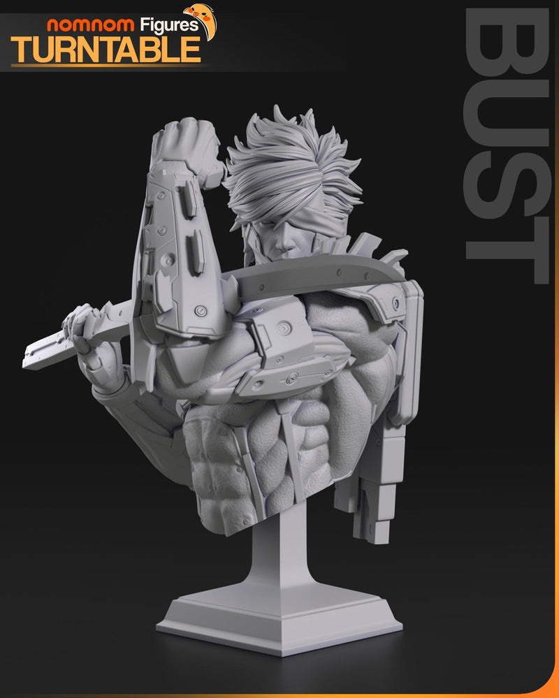 Raiden - Metal Gear Solid - 75mm, 1:10 Scale, Bust
