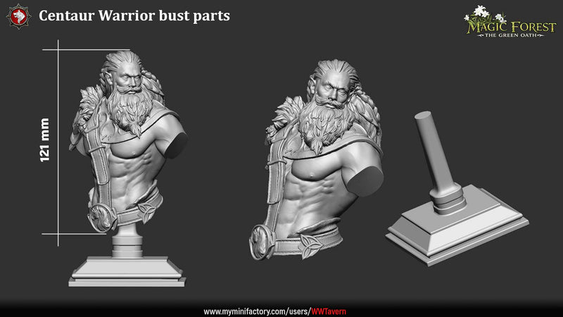 Centaur Warriors