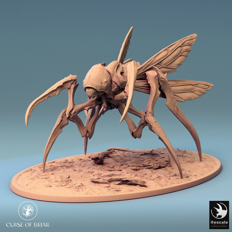 Fyrionis