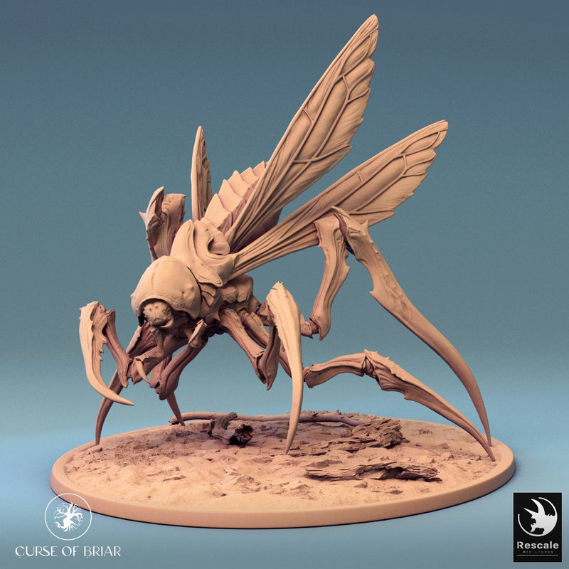 Fyrionis