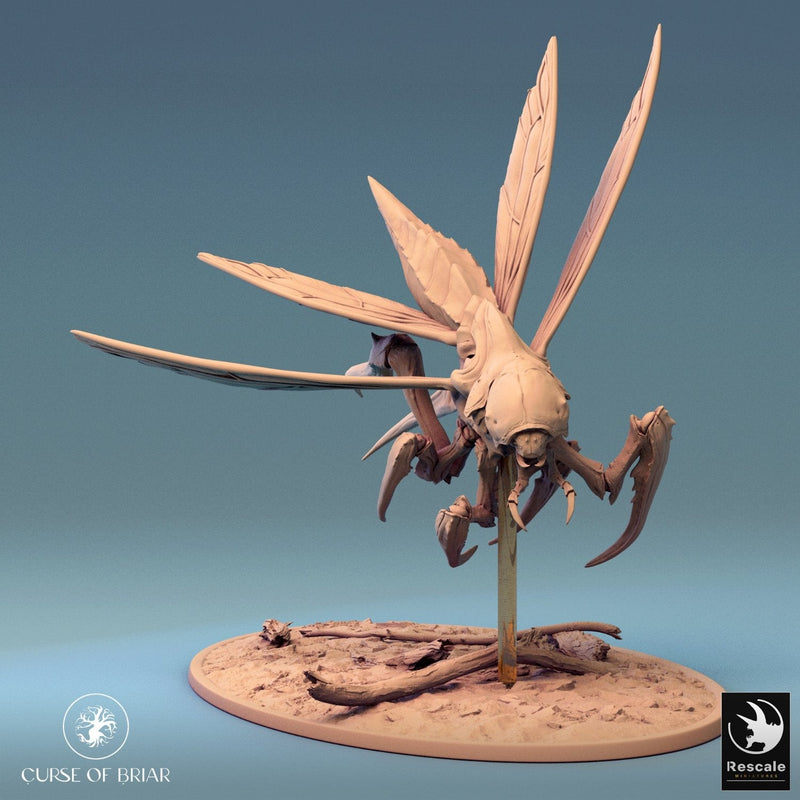 Fyrionis