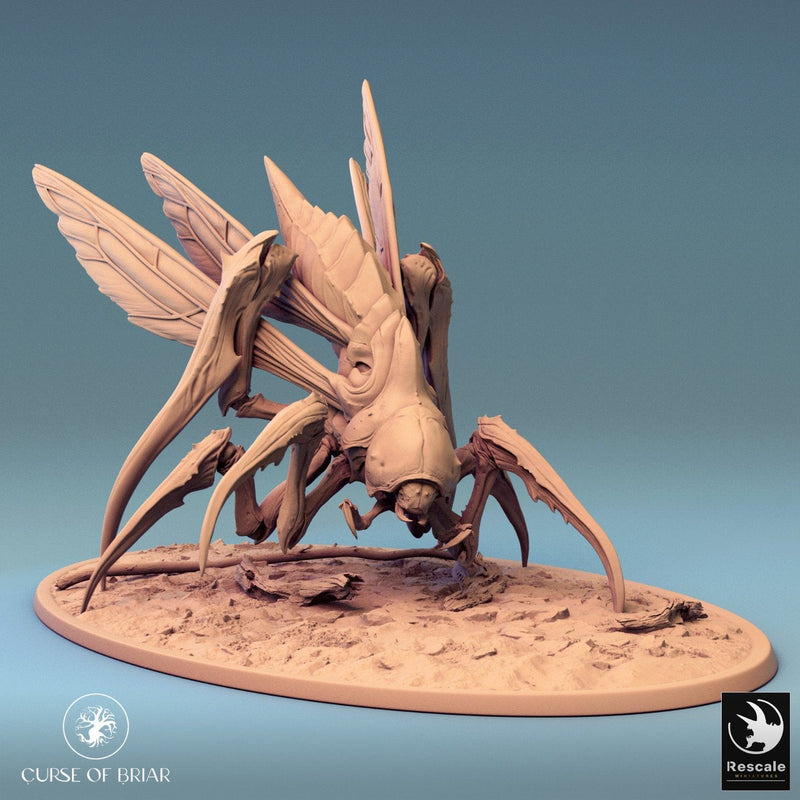 Fyrionis