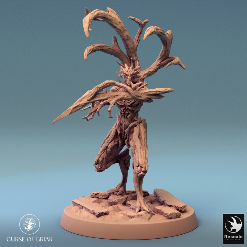 Wood Fey Heavy Set 1