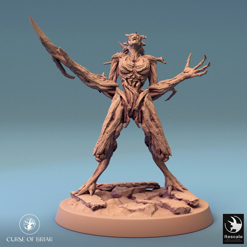 Wood Fey Intermediate Set 1