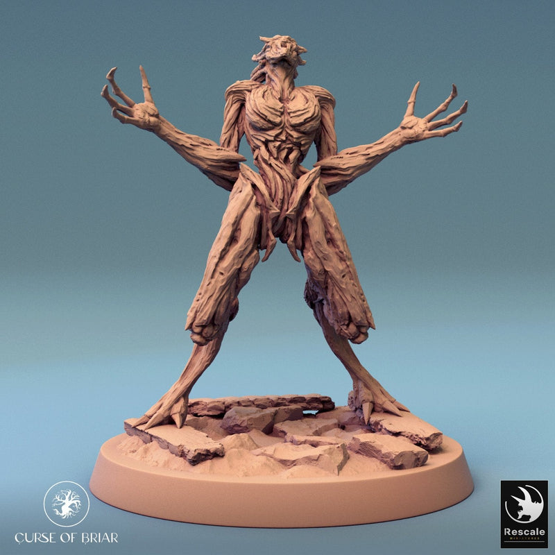 Wood Fey Light Set 1