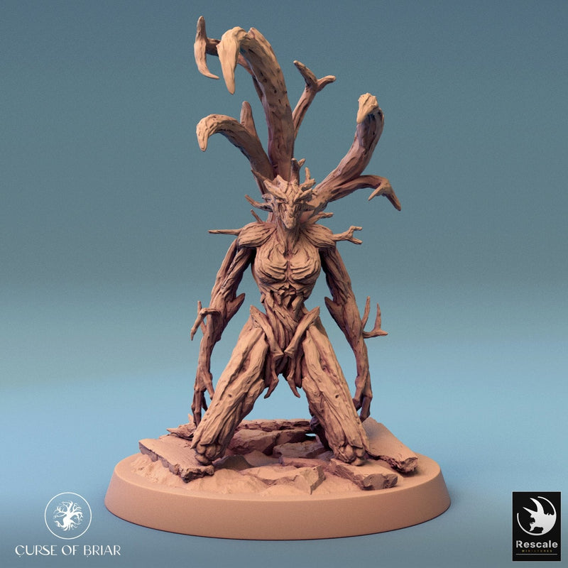 Wood Fey Heavy Set 1